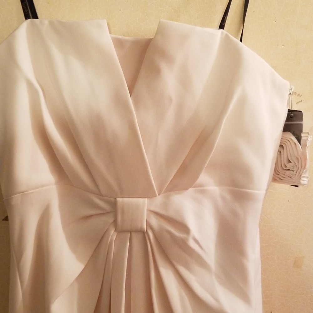 A strapless Laundry gown size 4